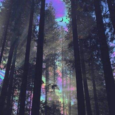 高度公路竞速赛